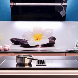 HAUS 2018, Messeimpression