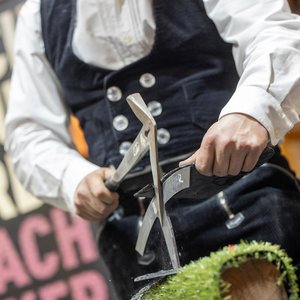 HAUS 2024, Messeimpression