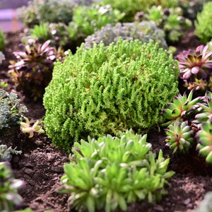 HAUS 2019, Messeimpression