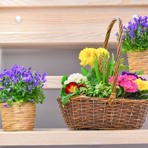 HAUS 2018, Messeimpression